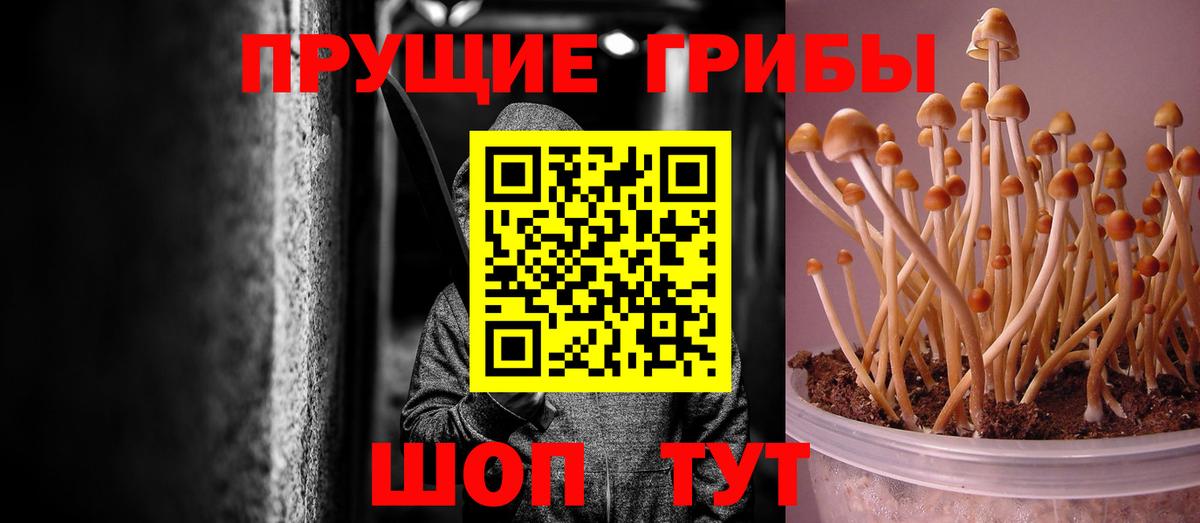 Псилоцибиновые грибы MAGIC MUSHROOMS Саратов